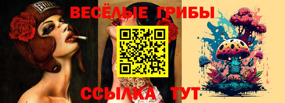Псилоцибиновые грибы мицелий  Галлюциногенные грибы мухоморы  Ярцево  Вход с VPN 