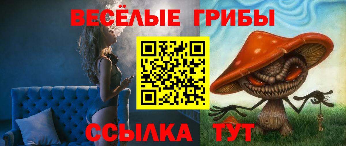 Псилоцибиновые грибы GOLDEN TEACHER Ярцево