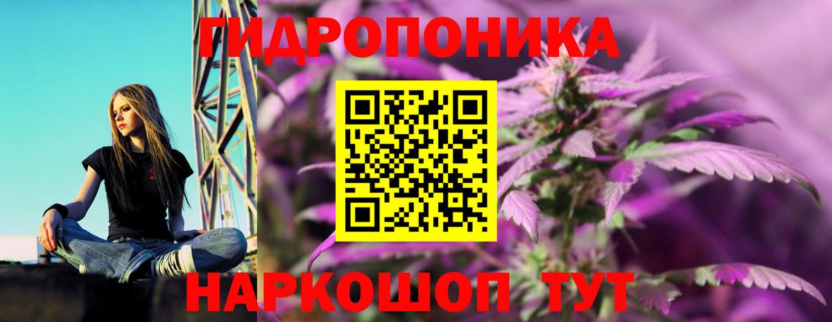 Ярцево  Бошки Шишки план  Вход с VPN  Марихуана семена  Конопля план  Каннабис Amnesia 